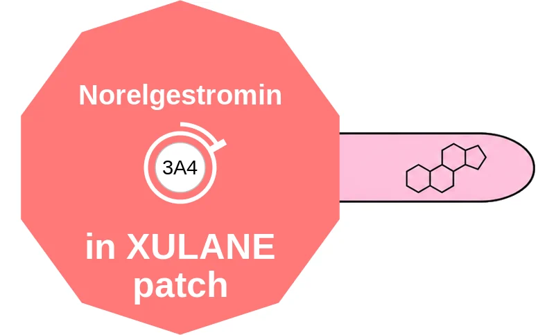Norelgestromin ballicule: receptor binding, kinetics and half-life diagram