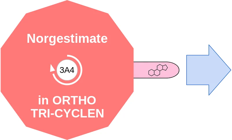 Norgestimate ballicule: receptor binding, kinetics and half-life diagram