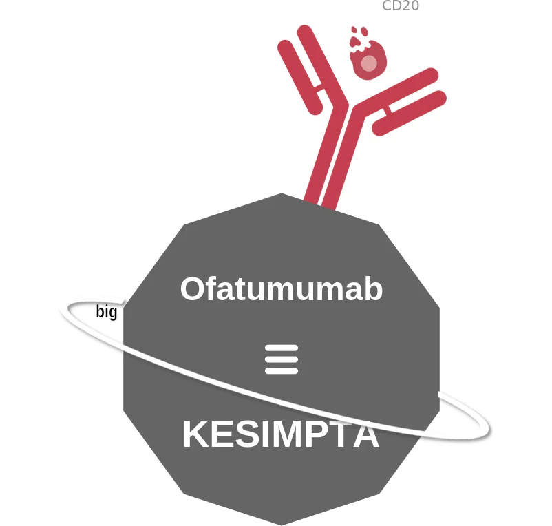 Ofatumumab ballicule: receptor binding, kinetics and half-life diagram
