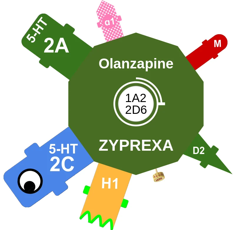 Olanzapine ballicule: receptor binding, kinetics and half-life diagram