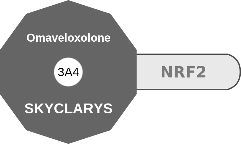 Omaveloxolone ballicule: receptor binding, kinetics and half-life diagram