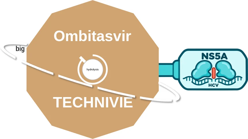 Ombitasvir ballicule: receptor binding, kinetics and half-life diagram