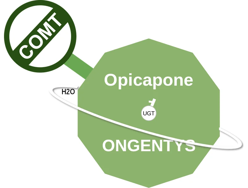 Opicapone ballicule: receptor binding, kinetics and half-life diagram