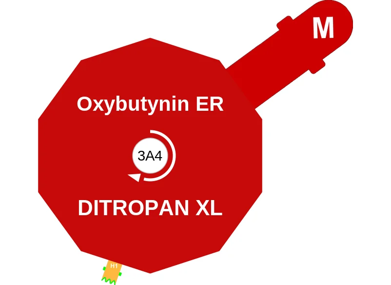 Oxybutynin ER ballicule: receptor binding, kinetics and half-life diagram
