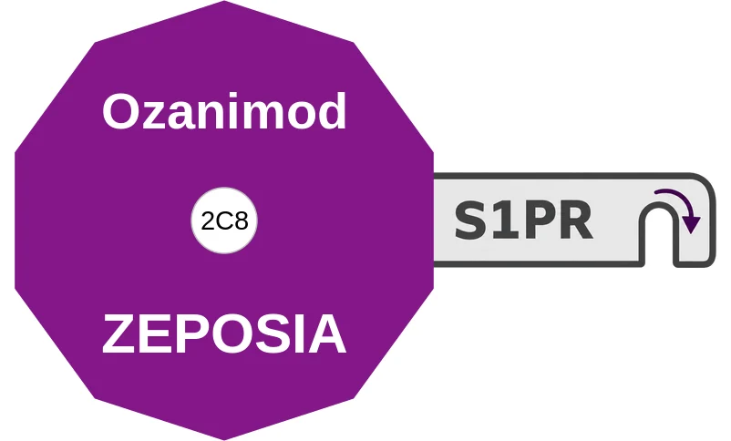 Ozanimod ballicule: receptor binding, kinetics and half-life diagram
