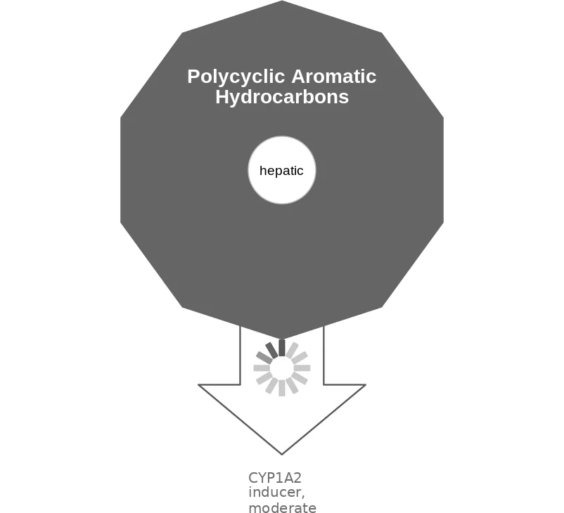 Polycyclic Aromatic Hydrocarbons ballicule: receptor binding, kinetics and half-life diagram