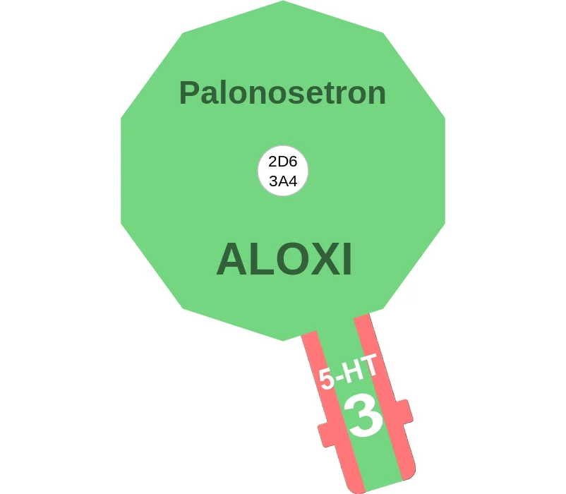 Palonosetron ballicule: receptor binding, kinetics and half-life diagram