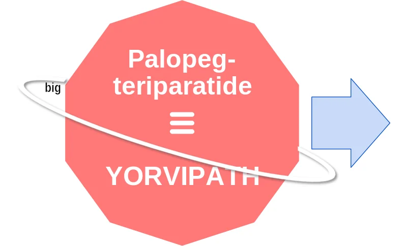 Palopegteriparatide ballicule: receptor binding, kinetics and half-life diagram