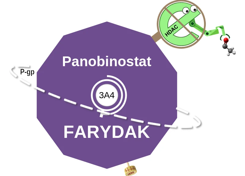 Panobinostat ballicule: receptor binding, kinetics and half-life diagram