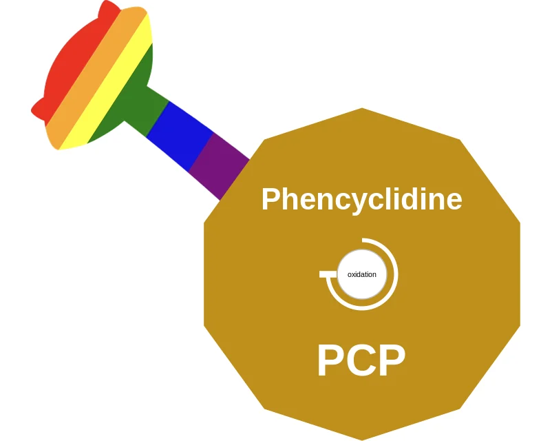 Phencyclidine ballicule: receptor binding, kinetics and half-life diagram