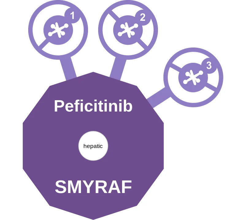 Peficitinib ballicule: receptor binding, kinetics and half-life diagram