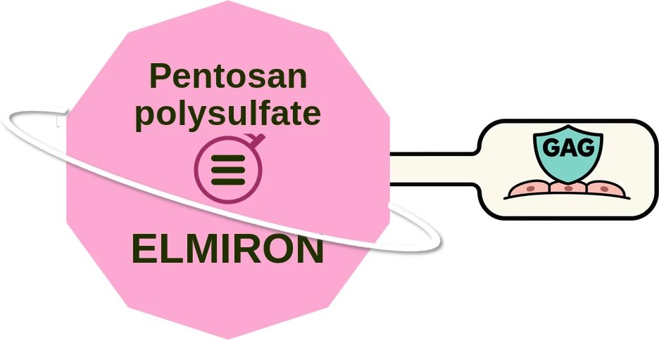 Pentosan polysulfate ballicule: receptor binding, kinetics and half-life diagram