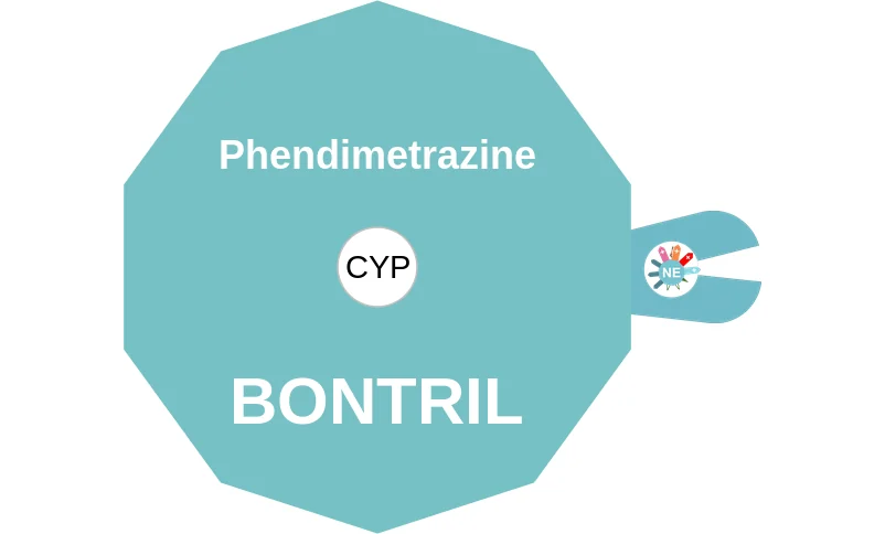 Phendimetrazine ballicule: receptor binding, kinetics and half-life diagram