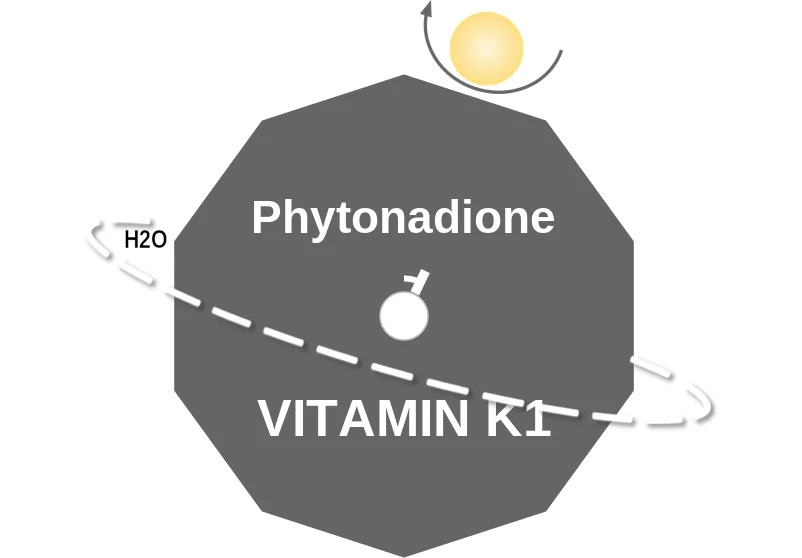 Phytonadione ballicule: receptor binding, kinetics and half-life diagram