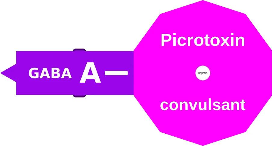 Picrotoxin ballicule: receptor binding, kinetics and half-life diagram