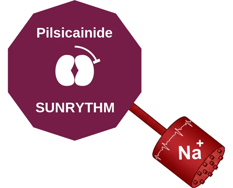 Pilsicainide ballicule: receptor binding, kinetics and half-life diagram