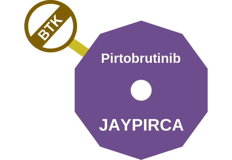 Pirtobrutinib ballicule: receptor binding, kinetics and half-life diagram