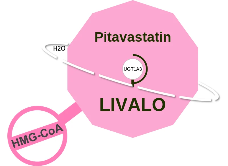Pitavastatin ballicule: receptor binding, kinetics and half-life diagram
