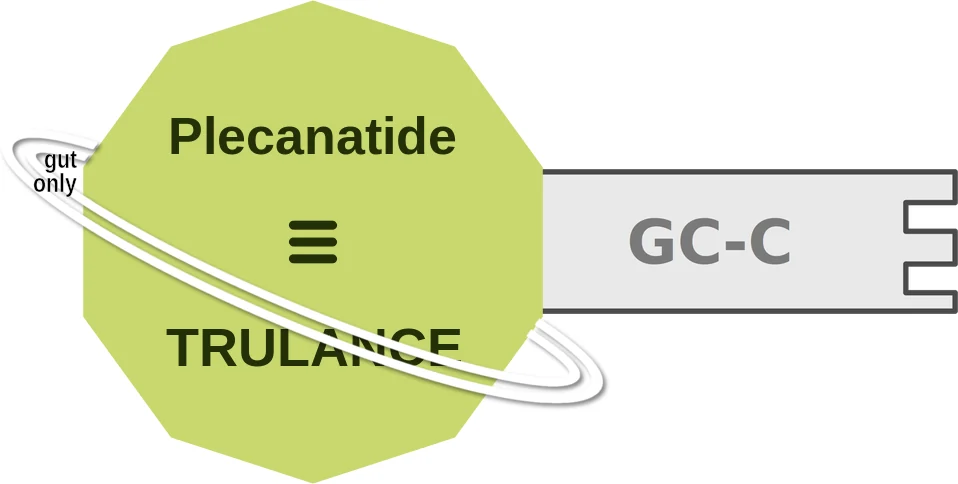 Plecanatide ballicule: receptor binding, kinetics and half-life diagram