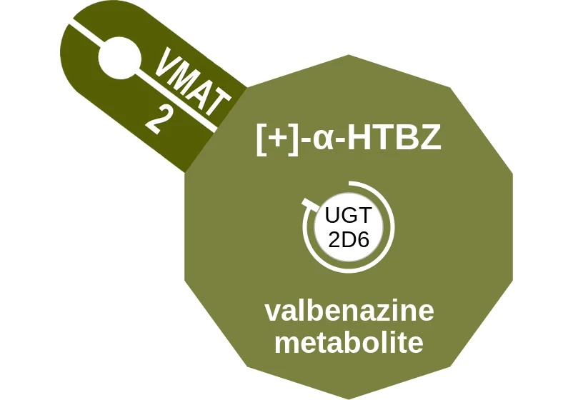 [+]-α-HTBZ ballicule: receptor binding, kinetics and half-life diagram