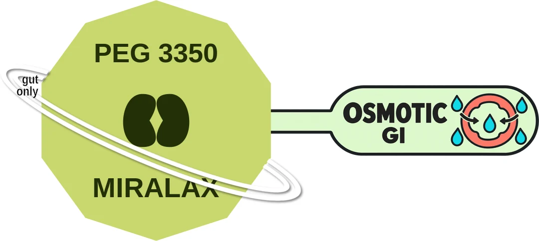 PEG 3350 ballicule: receptor binding, kinetics and half-life diagram