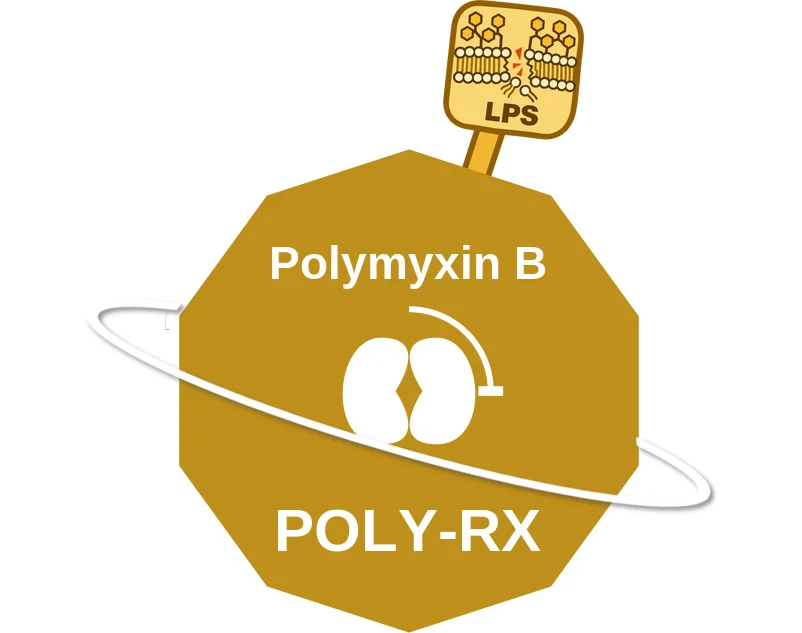 Polymyxin B ballicule: receptor binding, kinetics and half-life diagram