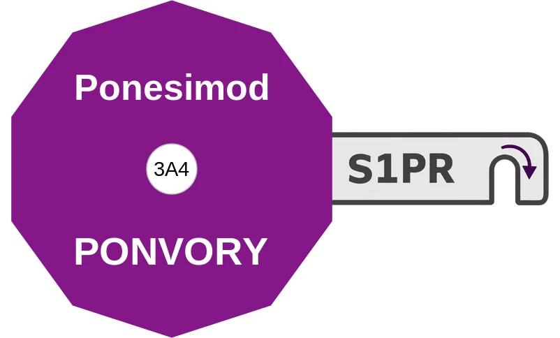 Ponesimod ballicule: receptor binding, kinetics and half-life diagram