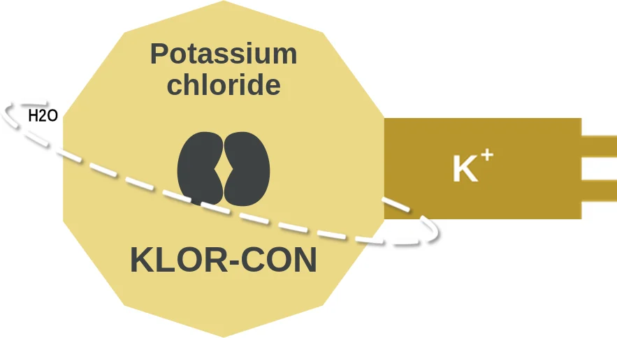 Potassium chloride ballicule: receptor binding, kinetics and half-life diagram