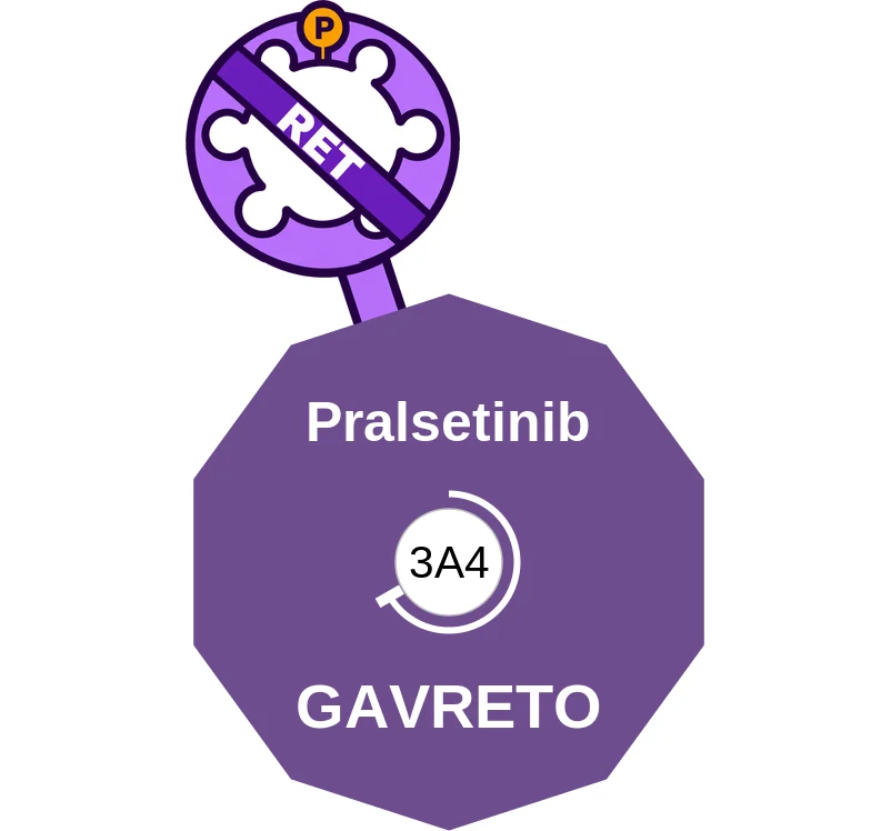 Pralsetinib ballicule: receptor binding, kinetics and half-life diagram
