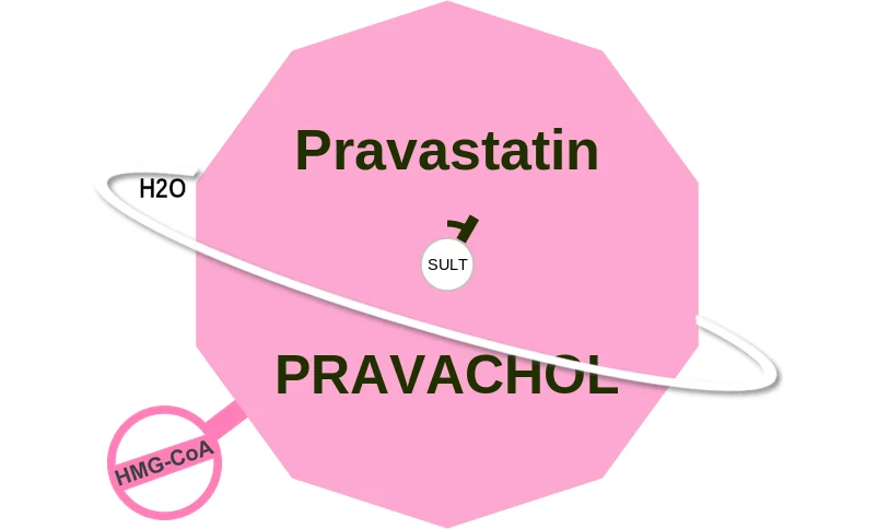 Pravastatin ballicule: receptor binding, kinetics and half-life diagram