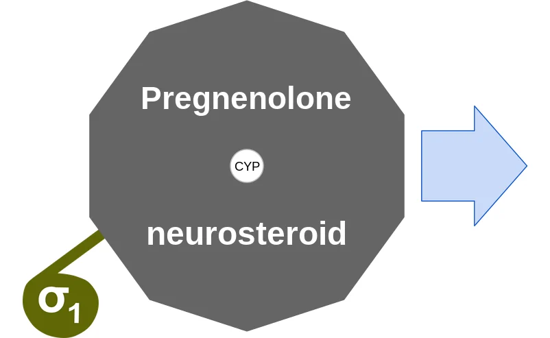 Pregnenolone ballicule: receptor binding, kinetics and half-life diagram