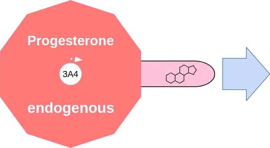 Progesterone ballicule: receptor binding, kinetics and half-life diagram