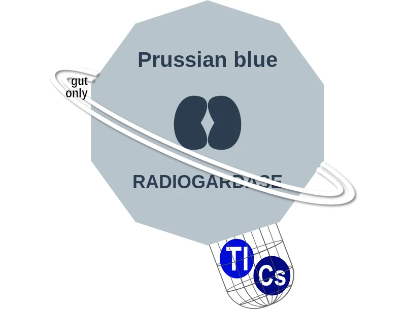 Prussian blue ballicule: receptor binding, kinetics and half-life diagram