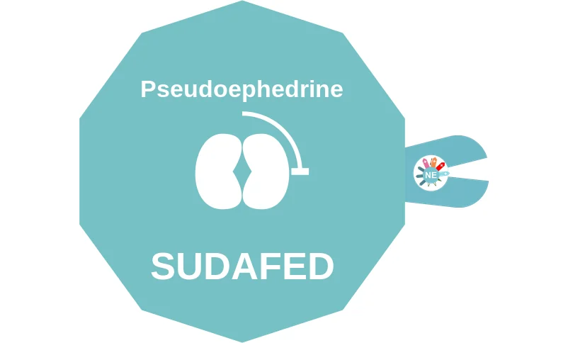 Pseudoephedrine ballicule: receptor binding, kinetics and half-life diagram