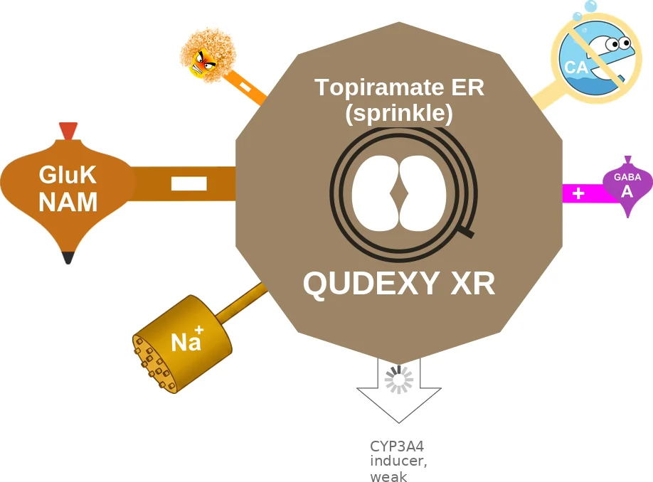 Topiramate ER (sprinkle) ballicule: receptor binding, kinetics and half-life diagram