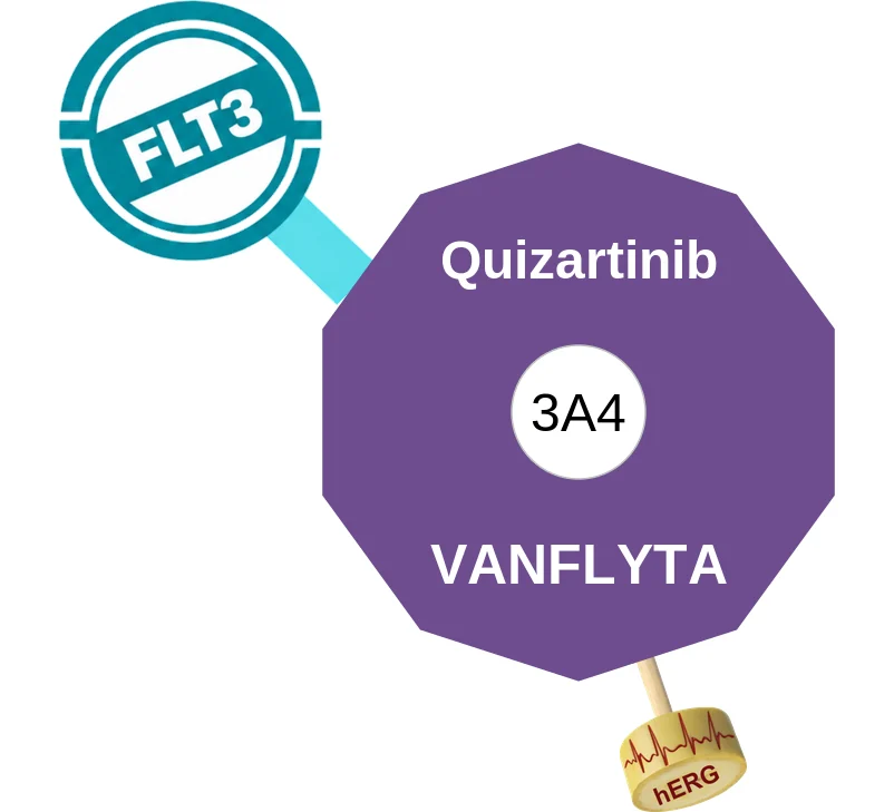 Quizartinib ballicule: receptor binding, kinetics and half-life diagram