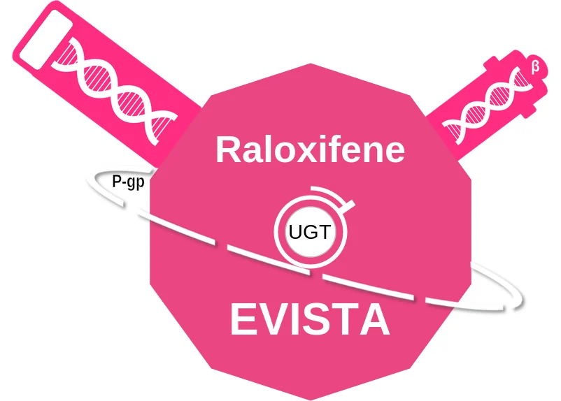 Raloxifene ballicule: receptor binding, kinetics and half-life diagram