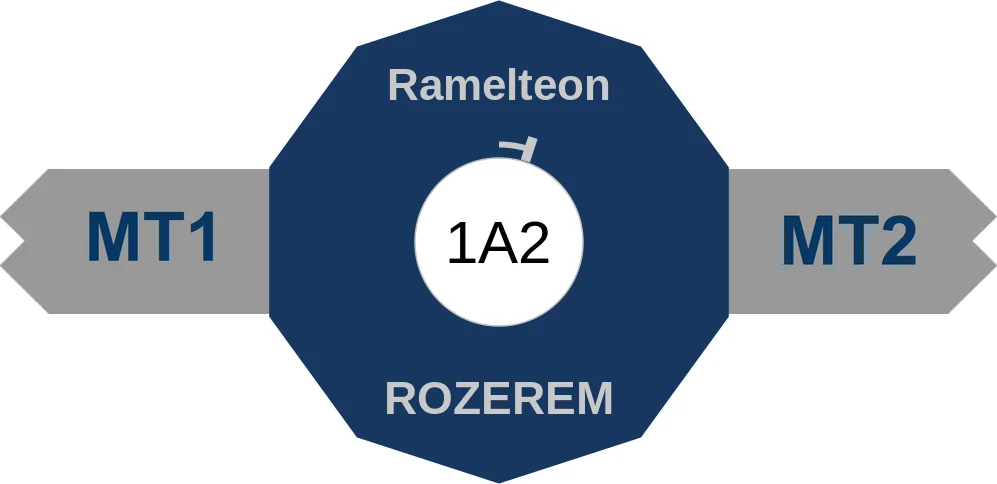 Ramelteon ballicule: receptor binding, kinetics and half-life diagram