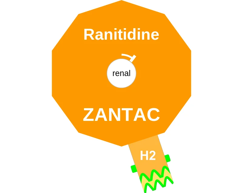 Ranitidine ballicule: receptor binding, kinetics and half-life diagram