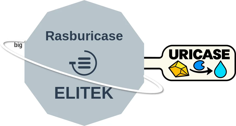Rasburicase ballicule: receptor binding, kinetics and half-life diagram