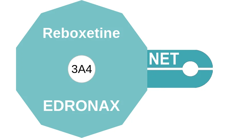 Reboxetine ballicule: receptor binding, kinetics and half-life diagram