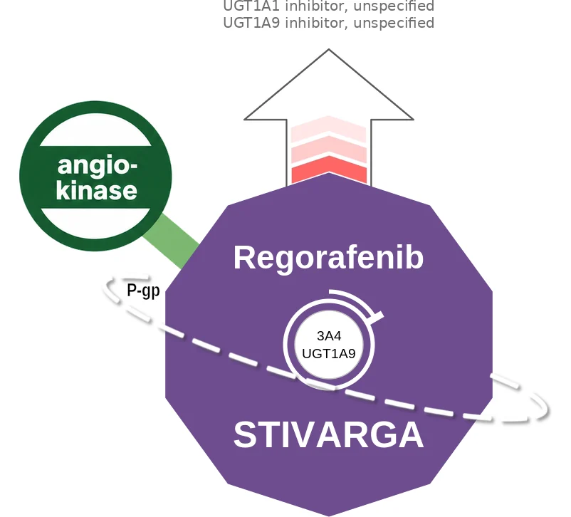 Regorafenib ballicule: receptor binding, kinetics and half-life diagram