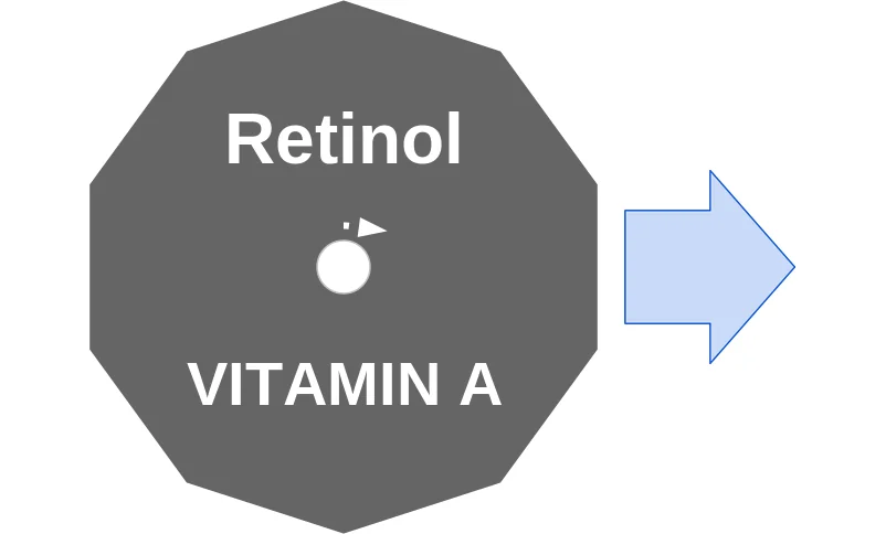 Retinol ballicule: receptor binding, kinetics and half-life diagram