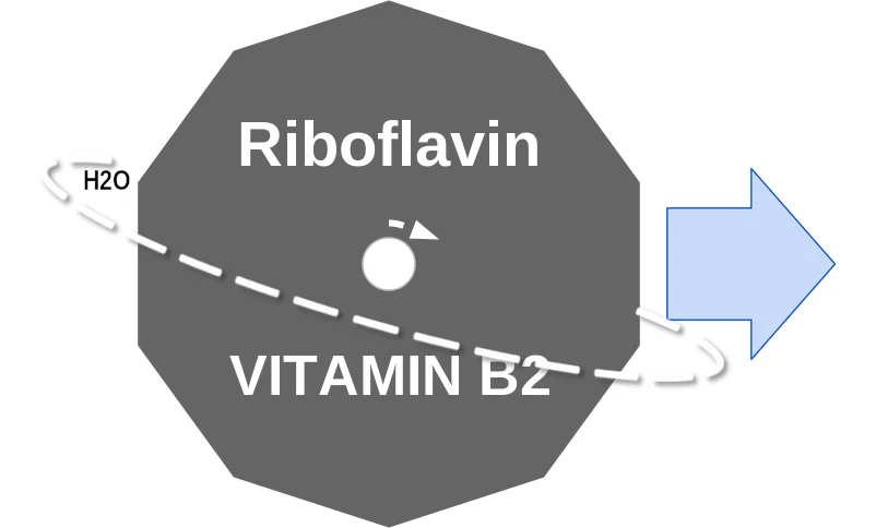 Riboflavin ballicule: receptor binding, kinetics and half-life diagram