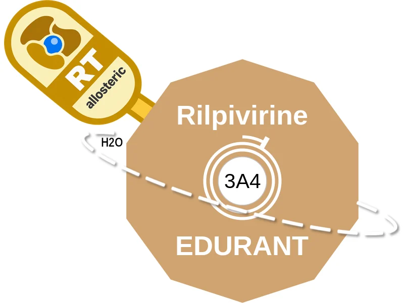 Rilpivirine ballicule: receptor binding, kinetics and half-life diagram