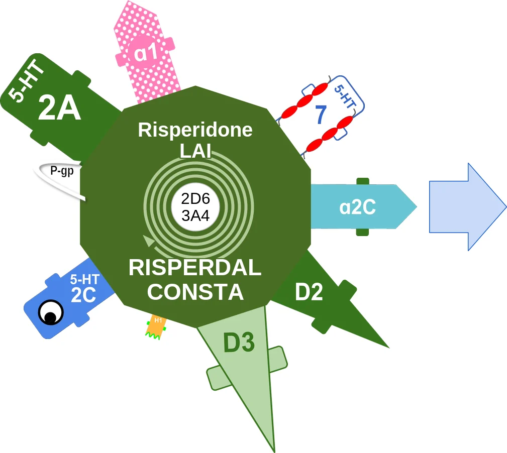 Risperidone LAI ballicule: receptor binding, kinetics and half-life diagram