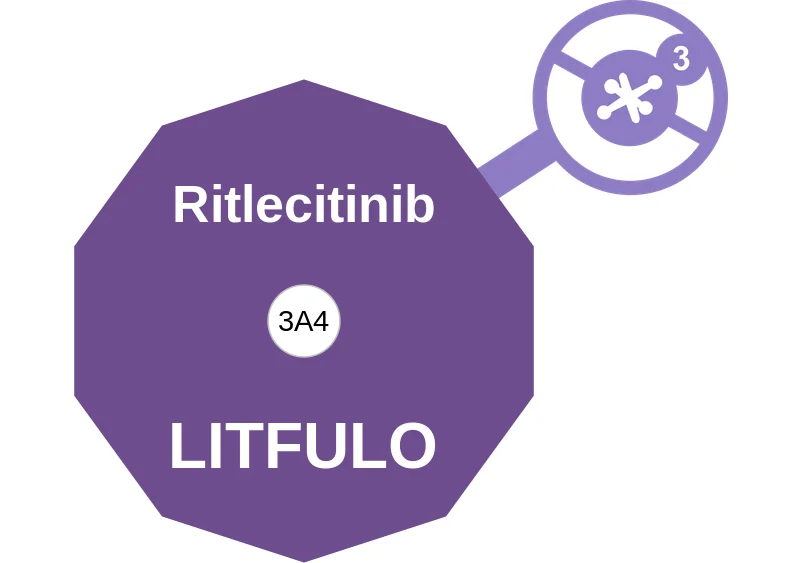 Ritlecitinib ballicule: receptor binding, kinetics and half-life diagram
