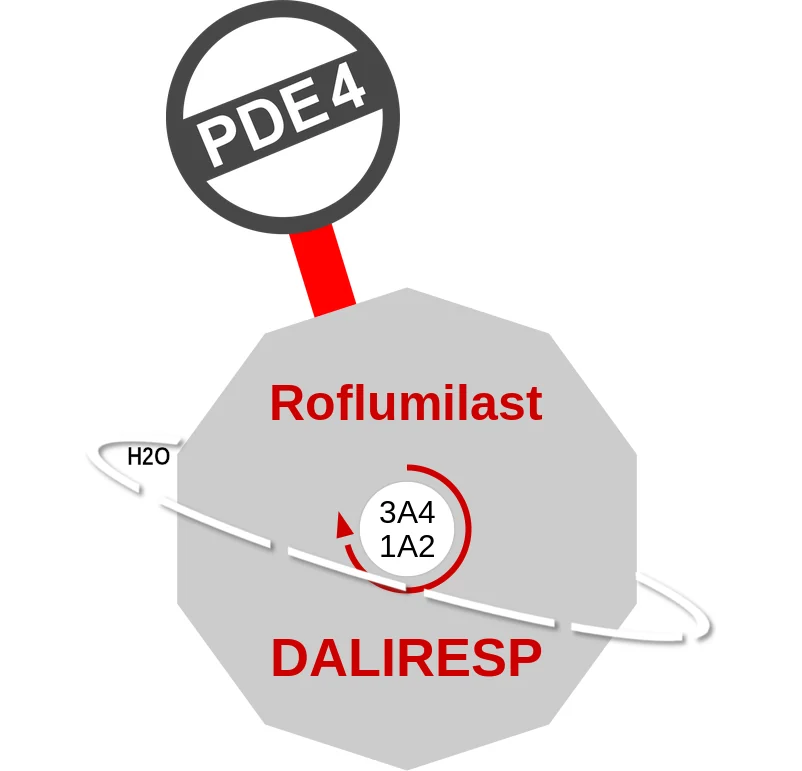 Roflumilast ballicule: receptor binding, kinetics and half-life diagram