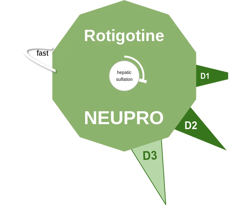Rotigotine ballicule: receptor binding, kinetics and half-life diagram