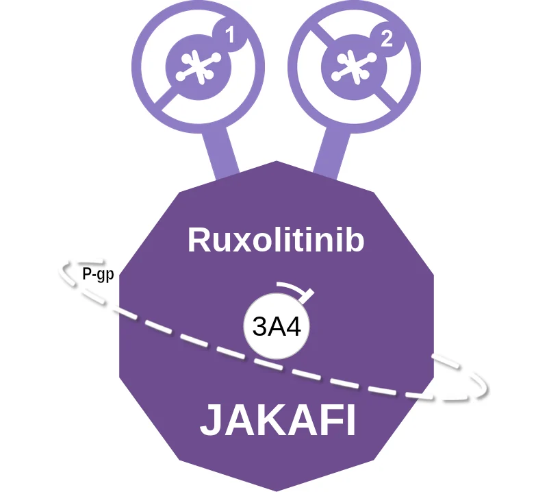 Ruxolitinib ballicule: receptor binding, kinetics and half-life diagram